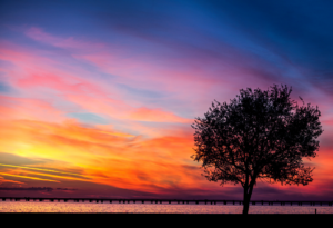 A picture of the Mandeville lakefront.